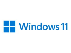 Windows 11 Pro GGK 64Bit Portuguese 1pk DSP ORT OEI DVD